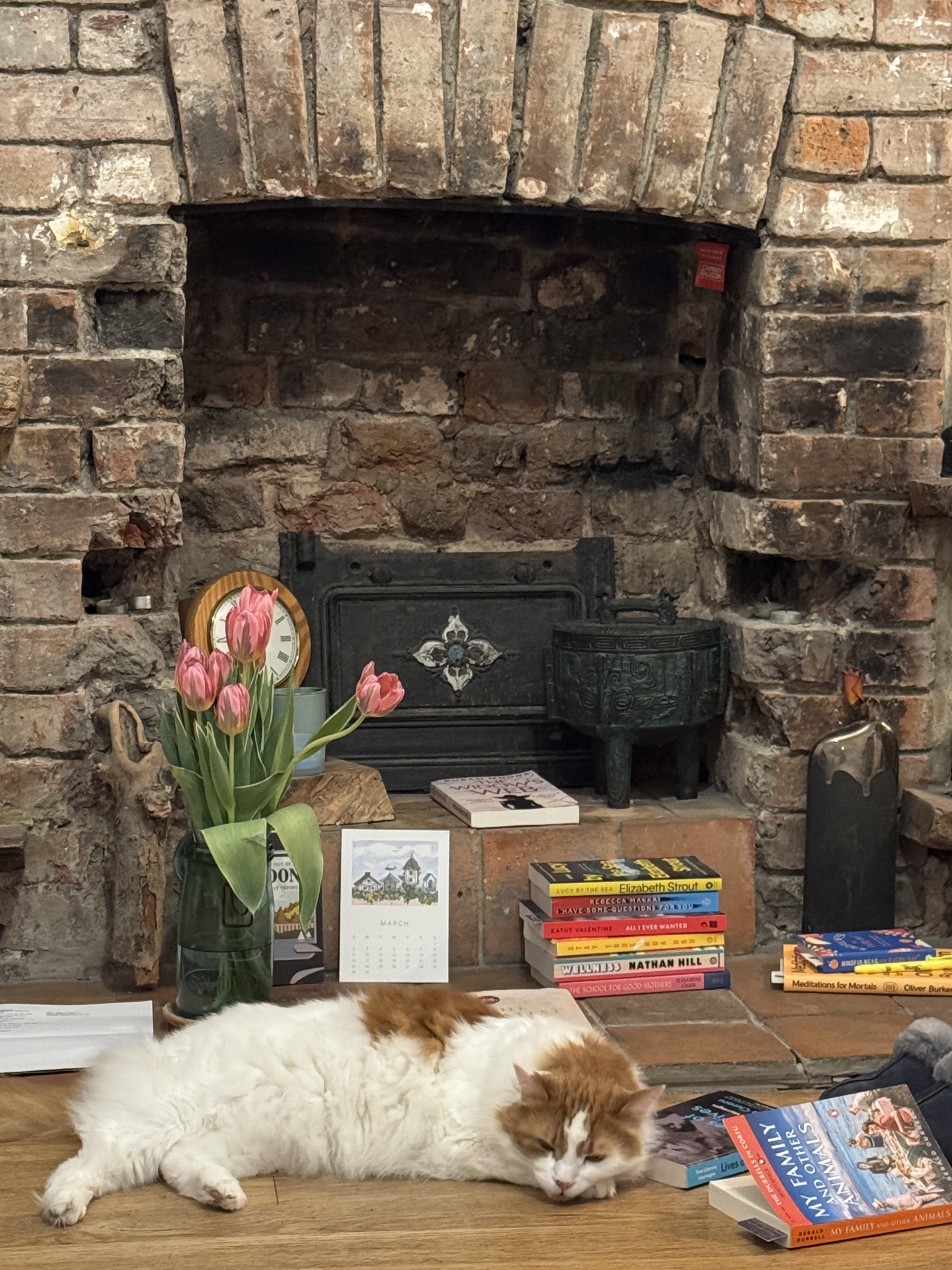 Books, a cat, and a fireplace