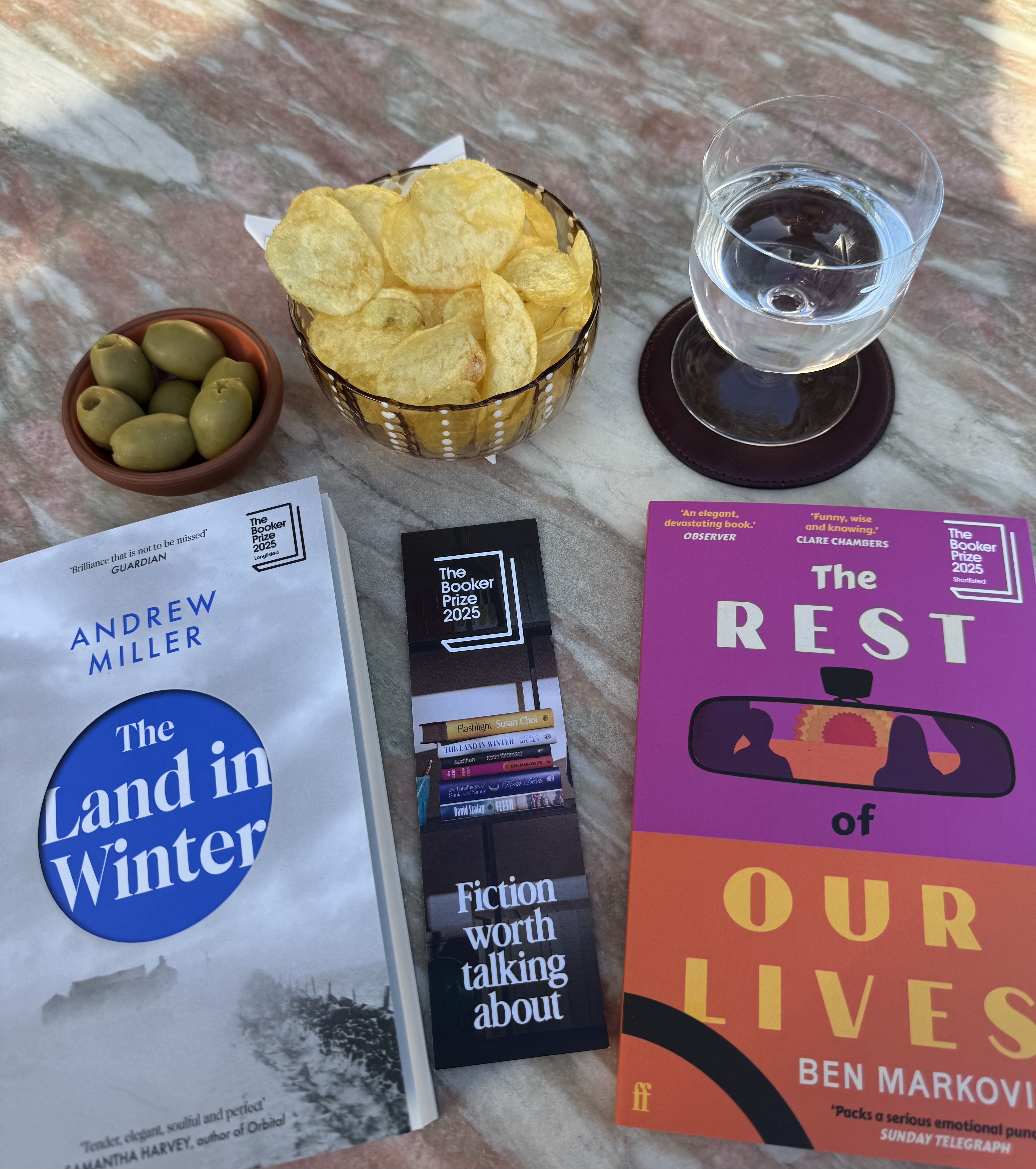 2025 Year End Books in Review